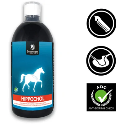 Synovium Hippochol 1000 ml