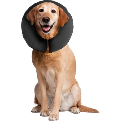 Zenpet Zenpet ProCollar - XXL