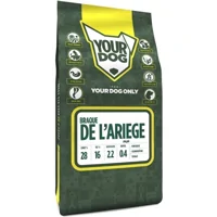 Yourdog Braque De L'ariege Pup 3kg Yourdog Braque De L'ariege Pup 3kg