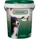 Primeval Gelatinaat Hond 500 gr