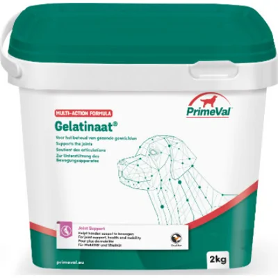 Primeval Gelatinaat Hond 500 gr