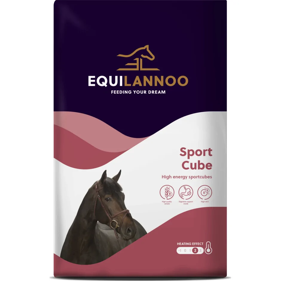 Equilannoo Sport Cube 20 kg