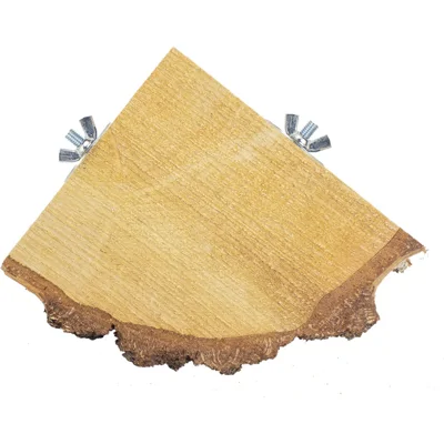 Back Zoo Nature Quarter Wood Slice