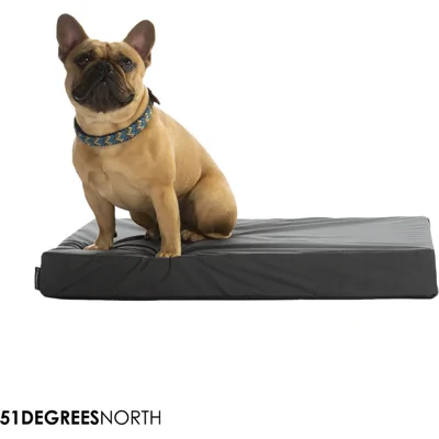 51 Degrees North Orthopedisch Storm Matras - S - 58 x 40 x 5 cm