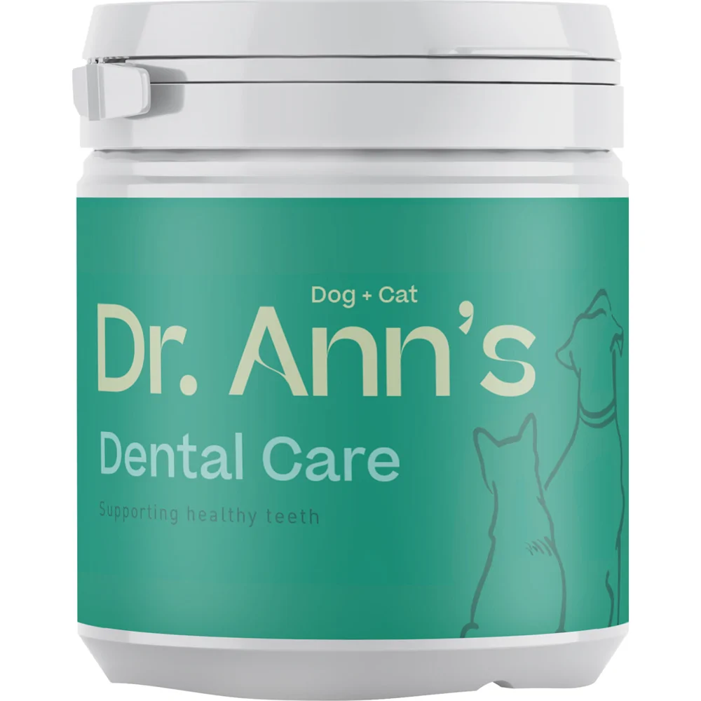 Dr. Ann's Dental Care - 40 g