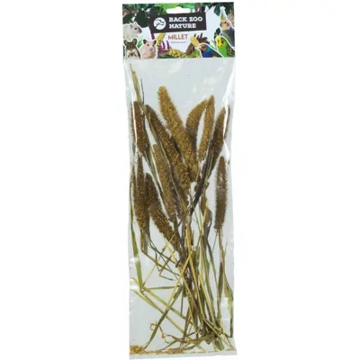 Back Zoo Nature Setaria Italica - 50 gram
