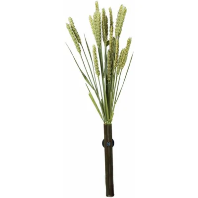 Back Zoo Nature Tarwe - 50 gram