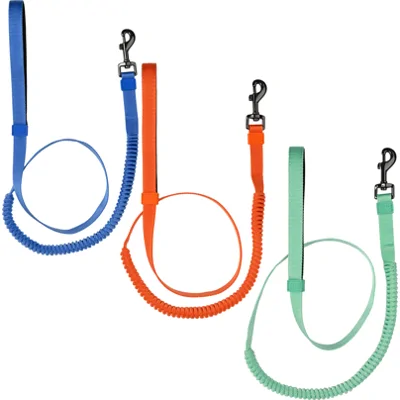 51 Degrees North Wanderful Leash Bungee - Mintgroen