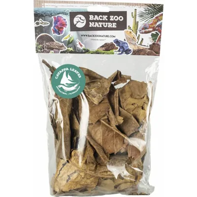 Back Zoo Nature Catappa Leaves - 25 gram