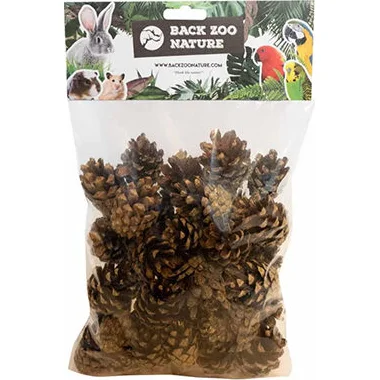 Back Zoo Nature Small Forest Pine Cones - 300 g
