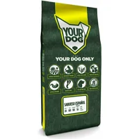 Yourdog Sabueso Español Senior 12kg
