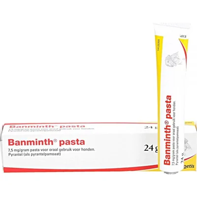 Banminth pasta hond