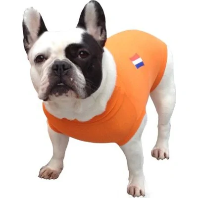 Medical Pet Shirt Hond Oranje M plus