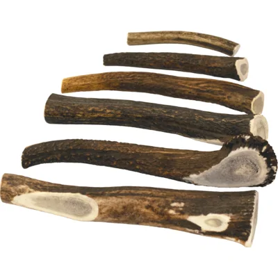 Brekz Snacks - Antler voor de hond Giant