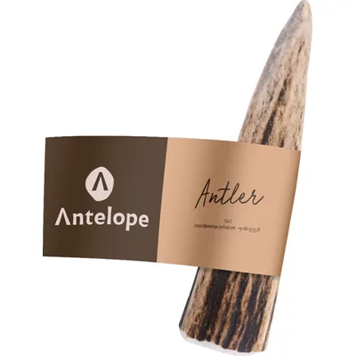 Antelope Antler - S