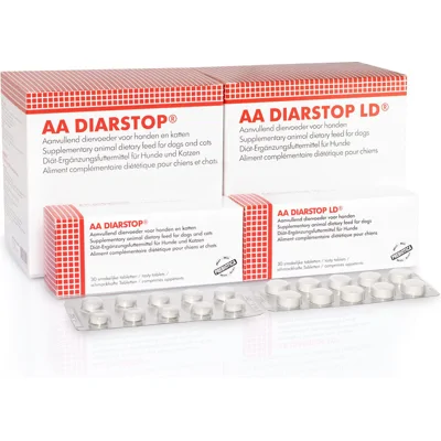 AA Diarstop 10 tabletten