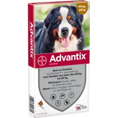 Advantix 600/3000 voor honden van 40 tot 60 kg 4 pipetten
