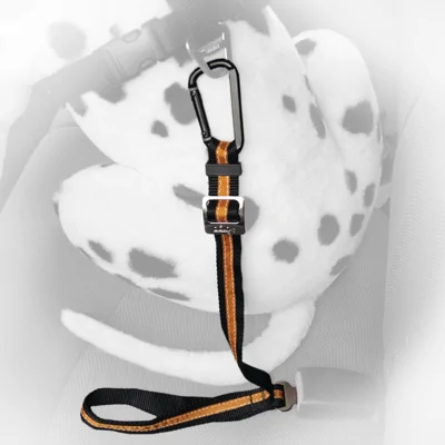 Kurgo Direct to Seatbelt Tether, Black/Orange