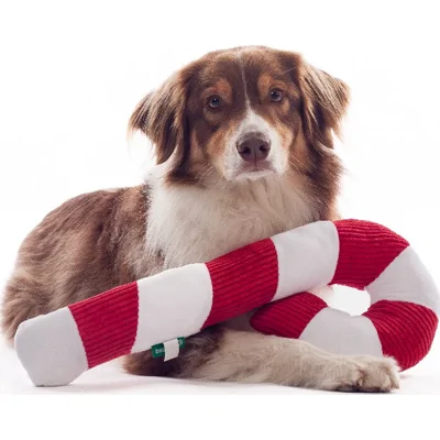 Beeztees Kerst zuurstok XXL 50cm