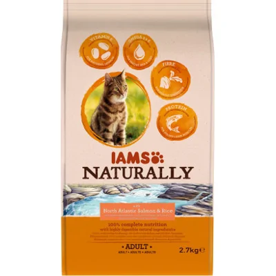 Iams Adult Zalm 3 kg