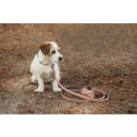 Beeztees Balacron Ax kunstleer hondenriem roze 130 x 1.5 cm product name