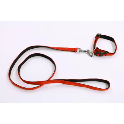 Nylon halsband gevoerd met looplijn 15 mm x 120 cm Zwart