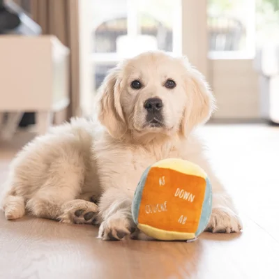 Beeztees Puppy Knuffel Kubus