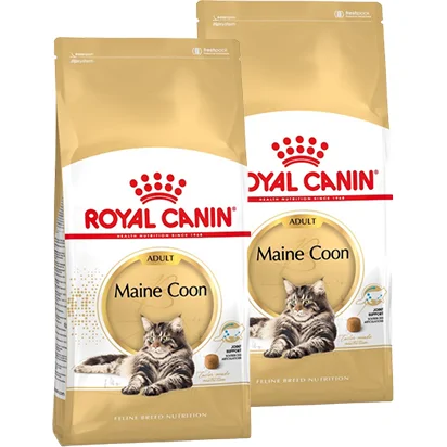 Royal Canin Maine Coon 31 10 kg