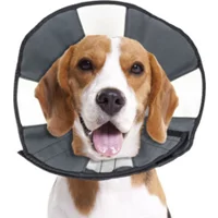 ZenPet Zen Collar - M