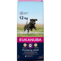 Eukanuba Dog - Junior Large - 12kg