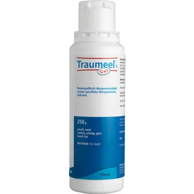 Traumeel Gel S - 250 ml