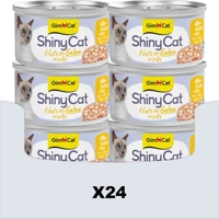 product name