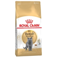 4x Royal Canin British Shorthair Kattenvoer 4 kg