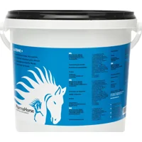 PharmaHorse L-Lysine - 1000 g