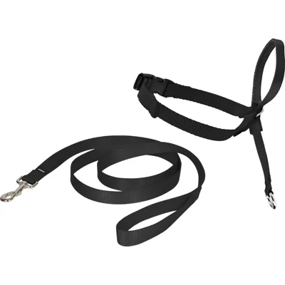Petsafe Easy Walk Headcollar