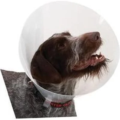 Buster Transparent Classic Collar - Maat 4