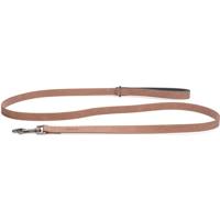 Beeztees Balacron Ax kunstleer hondenriem roze 180 x 2 cm product name