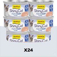 product name