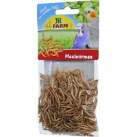 JR Farm Meelwormen - 25 g