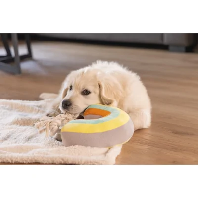 Beeztees Puppy Knuffel Regenboog Joie