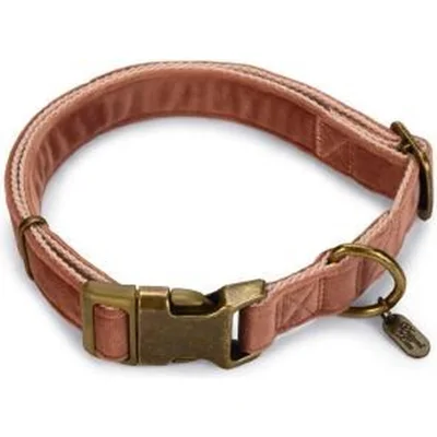 Designed by Lotte Velura - Hondenhalsband   - Roze - 26-40 x 15 cm