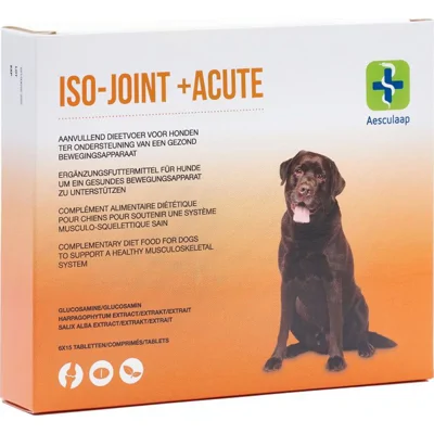 Iso-Joint +Acute 6x15 tabletten
