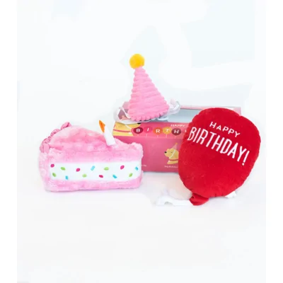 ZippyPaws - Pup Birthday Box - Pink