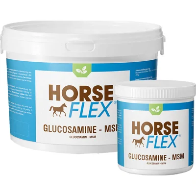 HorseFlex Glucosamine-MSM - 550 g