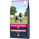 Eukanuba Dog - Senior Medium 3kg