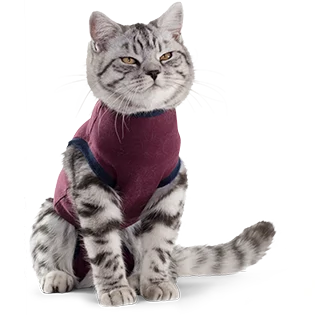 Jacketz Medical Body Suit bordeauxrood kat S