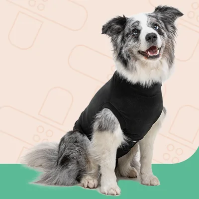 Suitical Recovery Suit Hond - S - Zwart