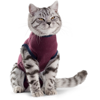 Jacketz Medical Body Suit bordeauxrood kat XS