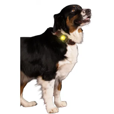 Nightwalk Safety Light Yellow