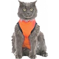 Medical Pet Shirt Kat Oranje XXS product name